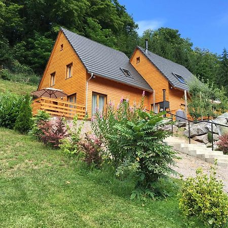 Le Chalet La Cigogne Et Le Chamois Munster  Dış mekan fotoğraf
