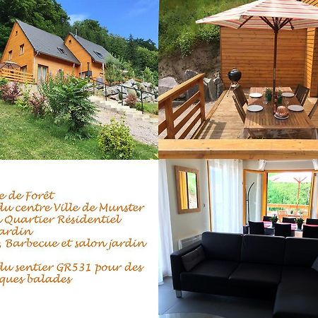 Le Chalet La Cigogne Et Le Chamois Munster  Dış mekan fotoğraf