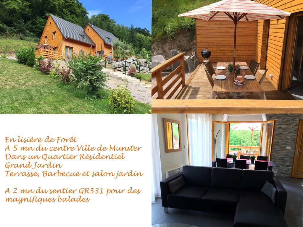 Le Chalet La Cigogne Et Le Chamois Munster  Dış mekan fotoğraf